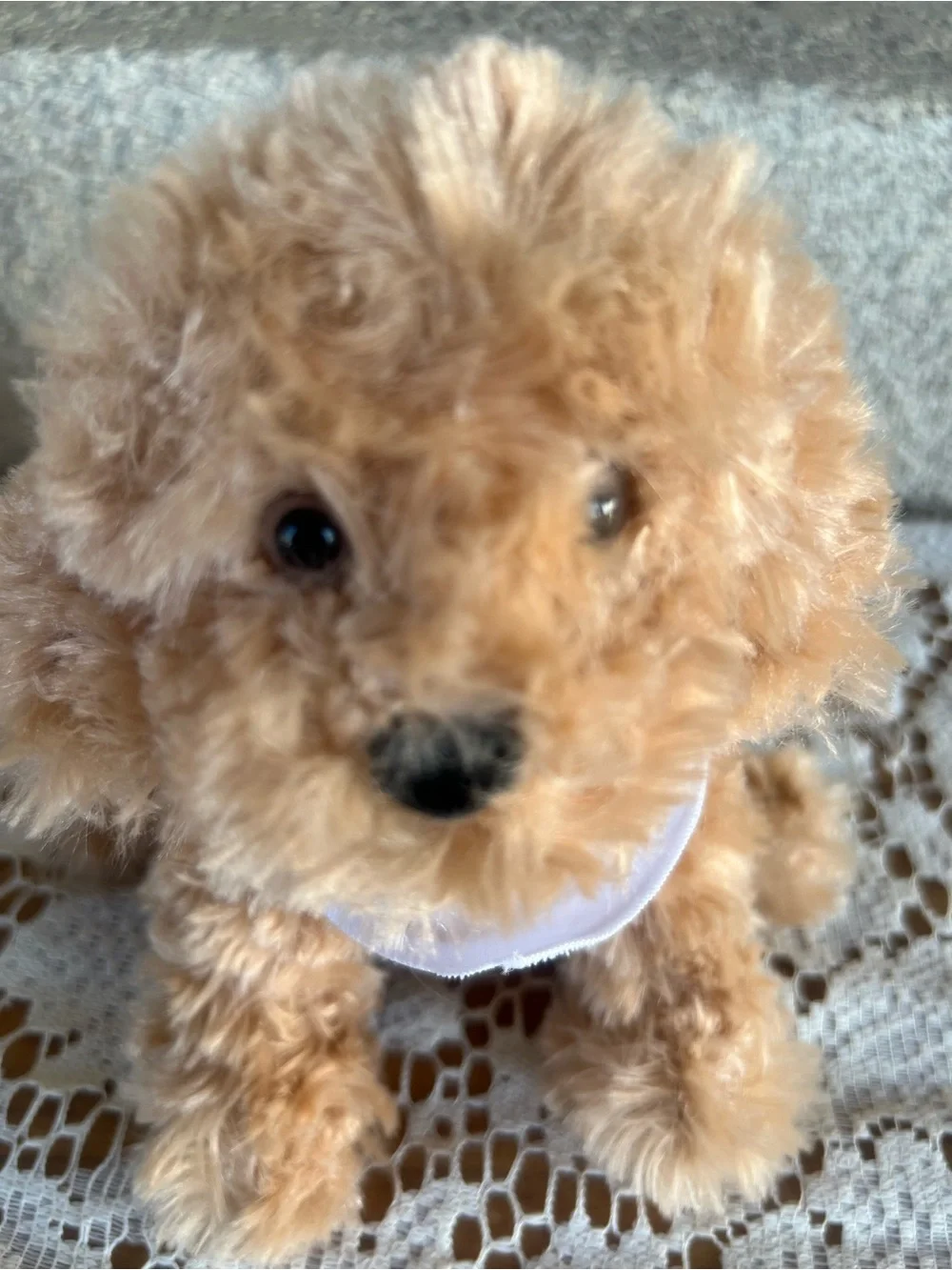 Plush Tan Poodle Dog Toy with 'Health' Bandana